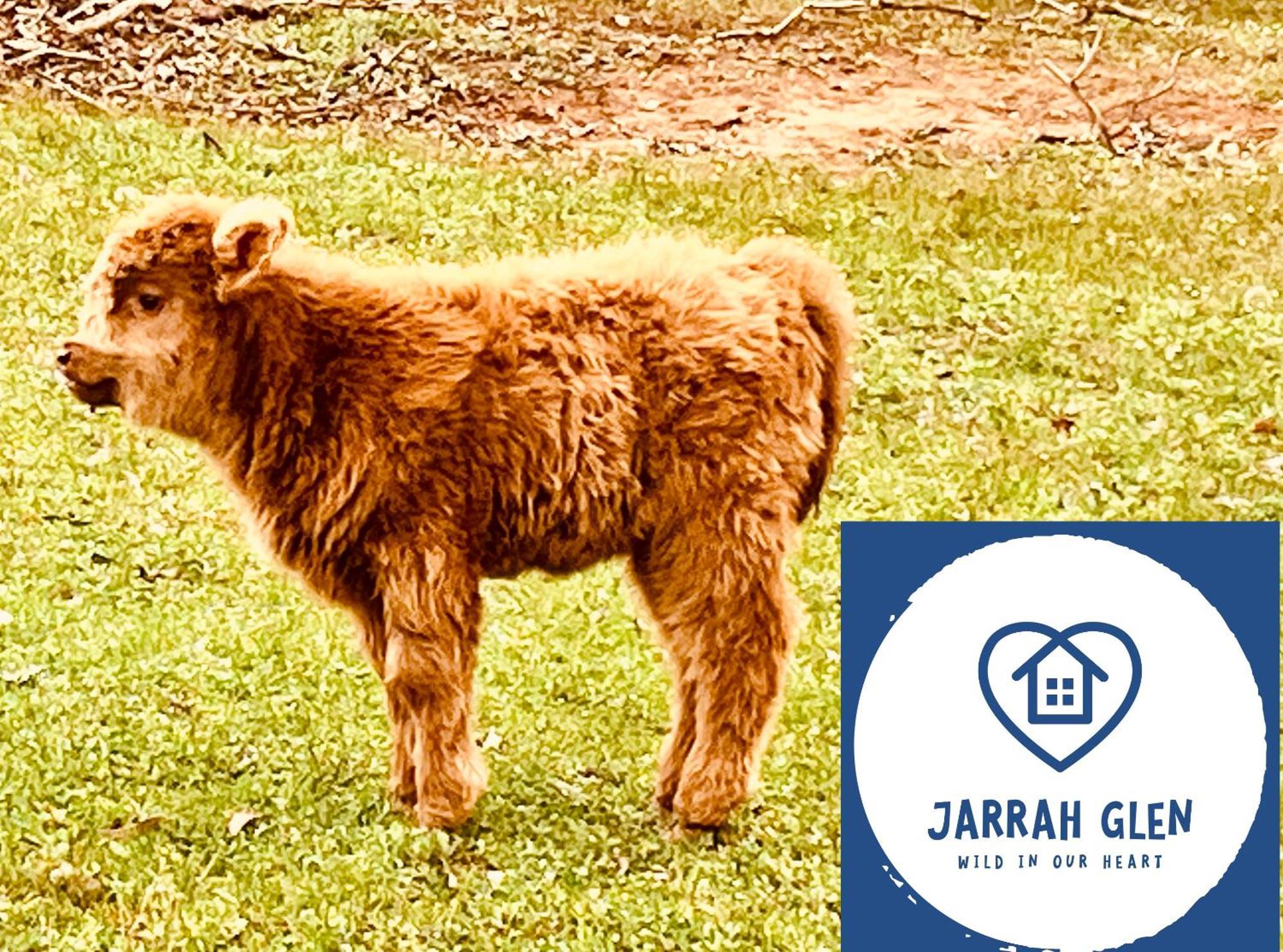 Jarrah Glen Cabins Nannup Luaran gambar