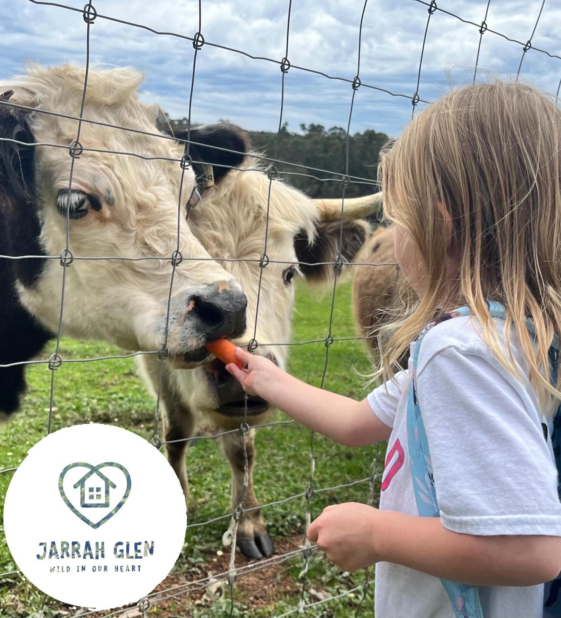 Jarrah Glen Cabins Nannup Luaran gambar