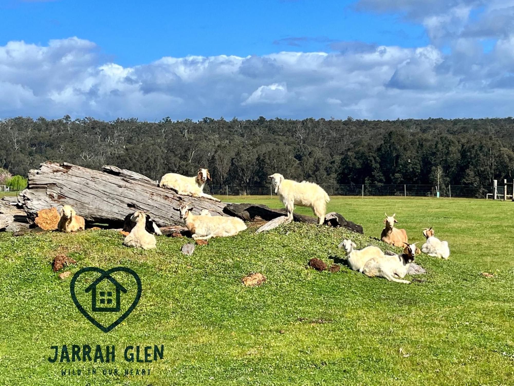 Jarrah Glen Cabins Nannup Luaran gambar