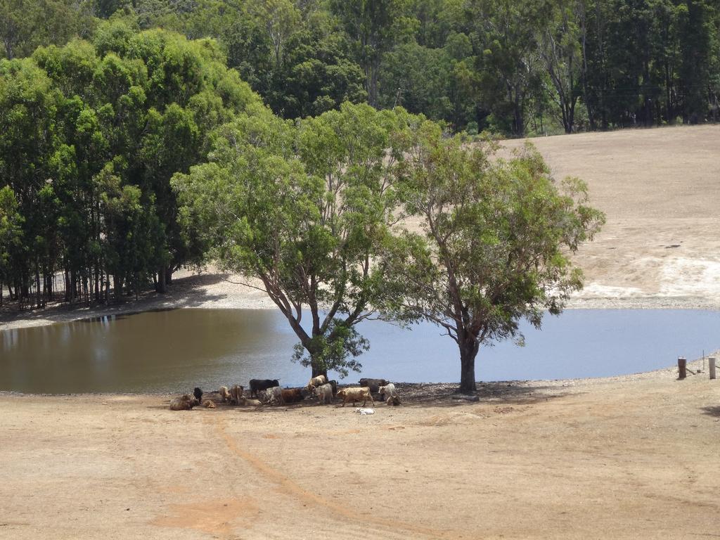 Jarrah Glen Cabins Nannup Luaran gambar