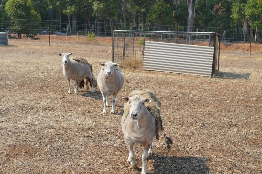 Jarrah Glen Cabins Nannup Luaran gambar